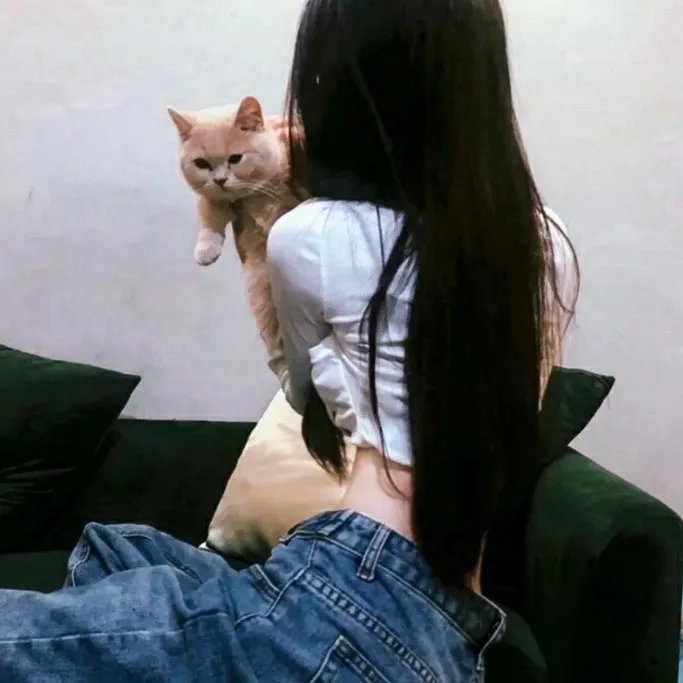 爱情青春